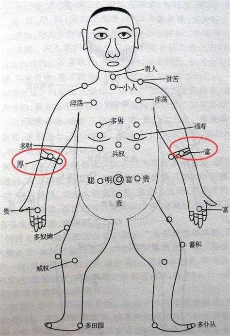 手臂有痣代表什麼|痣的位置透露出這些訊息！上手臂有痣不乏追求者、手。